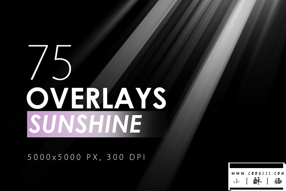 PS笔刷-50组高清太阳光耶稣光丁达尔窗户光笔刷素材 Light Rays插图